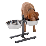 Stainless Steel Feeding Bowls for Pet (Multicolor, L)