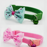 ABS Plastic Coller Belt for Pet (Multicolor, Pack of 2)