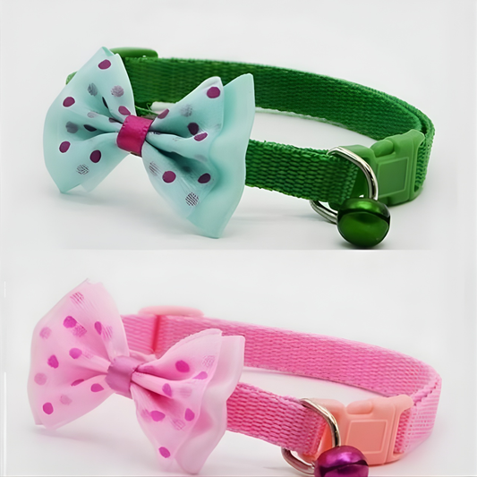 ABS Plastic Coller Belt for Pet (Multicolor, Pack of 2)