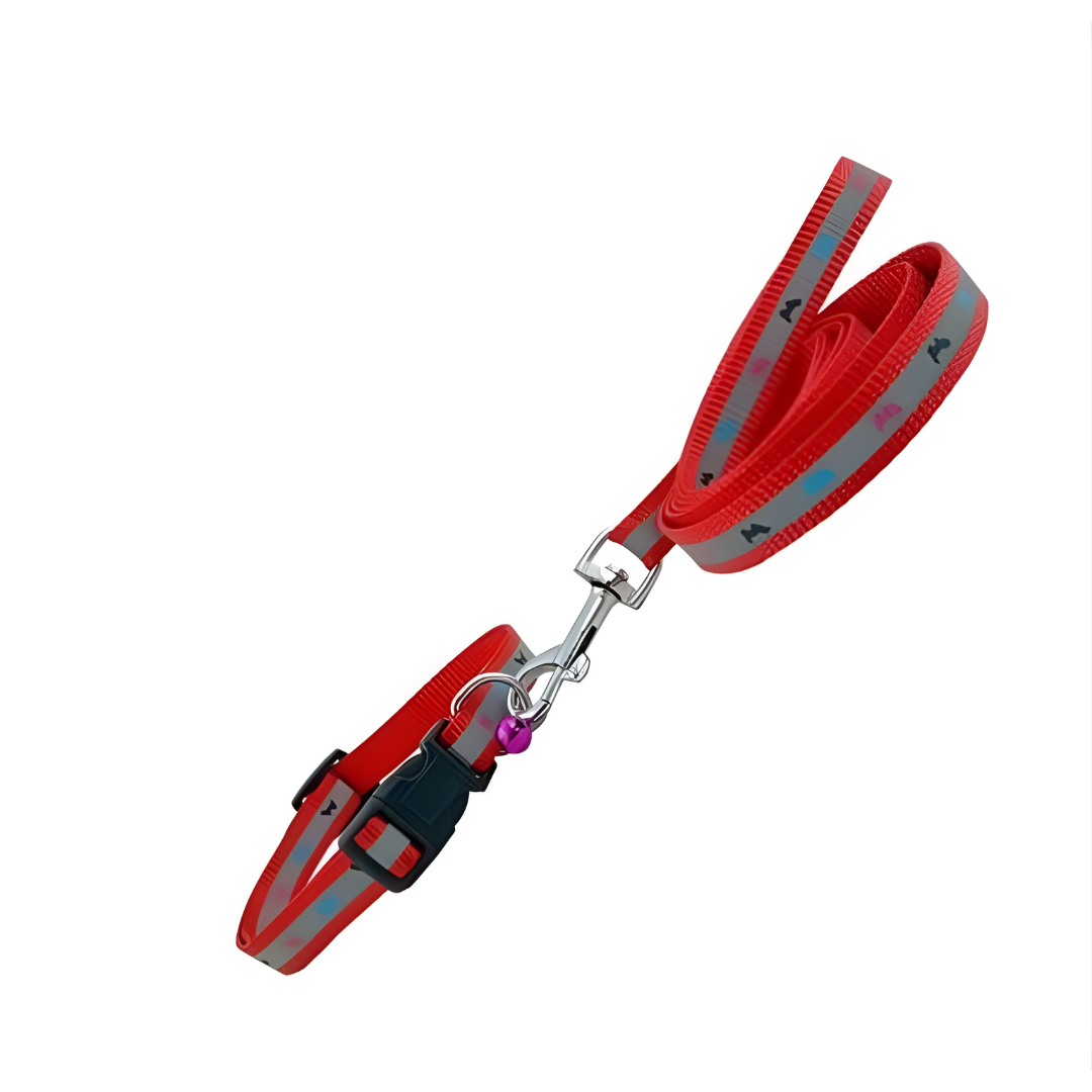 Neck Collar 0.5 Belt for Pet (Multicolor, M)